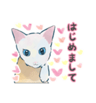 あざとくてごめん♡なねこにゃんず③（個別スタンプ：11）