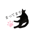 くろねこのきょうちゃん（個別スタンプ：2）