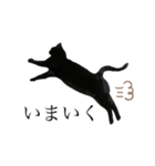 くろねこのきょうちゃん（個別スタンプ：3）