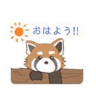 ゆるっとレッサーパンダくん（個別スタンプ：1）