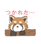 ゆるっとレッサーパンダくん（個別スタンプ：6）