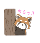 ゆるっとレッサーパンダくん（個別スタンプ：12）