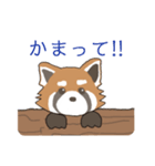 ゆるっとレッサーパンダくん（個別スタンプ：14）