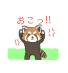 ゆるっとレッサーパンダくん（個別スタンプ：15）