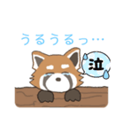 ゆるっとレッサーパンダくん（個別スタンプ：16）