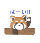 ゆるっとレッサーパンダくん（個別スタンプ：21）