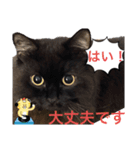 黒猫 ルナ院長116にゃんめ（個別スタンプ：4）