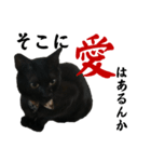 黒猫あんこさんの日常会話スタンプ。（個別スタンプ：3）