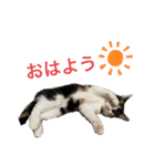 ツナマヨの日常生活（個別スタンプ：3）
