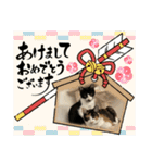 ツナマヨの日常生活（個別スタンプ：12）
