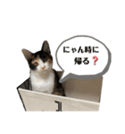 ツナマヨの日常生活（個別スタンプ：18）