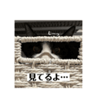 ツナマヨの日常生活（個別スタンプ：22）