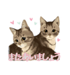 うちの猫(コ)みつけた♪ていねいなスタンプ（個別スタンプ：39）