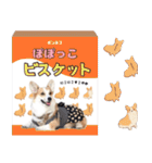 PONZ 5th コーギーぽんずのスタンプ -Rev-（個別スタンプ：39）