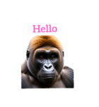 ゴリラ gorilla（個別スタンプ：16）