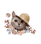 おちゃれキャットみるちゃん（個別スタンプ：4）