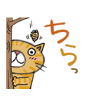 Juns 茶とら猫の秋（個別スタンプ：37）