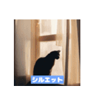 猫の日常11333（個別スタンプ：19）