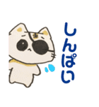 ちょいワルねこ（個別スタンプ：12）