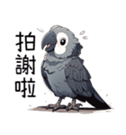 鸚鵡小灰（個別スタンプ：7）