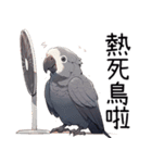 鸚鵡小灰（個別スタンプ：27）