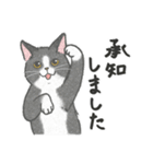 ねこ猫しぐさ（個別スタンプ：3）