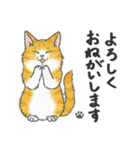 ねこ猫しぐさ（個別スタンプ：16）