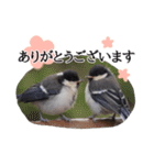 敬語の鳥さんスタンプ（個別スタンプ：1）