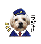 福（でかヨーキー）              時々チロ（個別スタンプ：19）