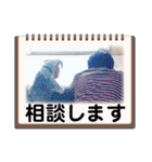 福（でかヨーキー）              時々チロ（個別スタンプ：26）