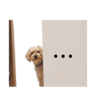 福（でかヨーキー）              時々チロ（個別スタンプ：28）
