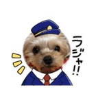 サクラちゃん、りんちゃん姉妹（個別スタンプ：17）