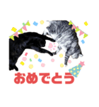 サバトラとクロネコ（個別スタンプ：10）
