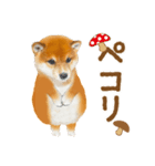 かわいい犬❤️飛び出す❤️しばけん❤️秋（個別スタンプ：21）