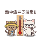 ねこのお天気レポート（個別スタンプ：20）