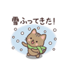 ねこのお天気レポート（個別スタンプ：24）