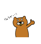 ビッパ族たち（個別スタンプ：5）