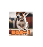 いろんな犬たち★（個別スタンプ：13）