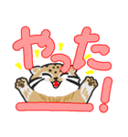 可愛い マヌルネコ（個別スタンプ：6）