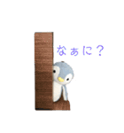 すばらしいちゅぴちゃん（個別スタンプ：24）