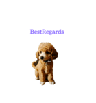 プードル poodle（個別スタンプ：3）