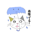 お天気伝える天気猫♪（個別スタンプ：4）