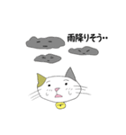 お天気伝える天気猫♪（個別スタンプ：7）