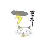 お天気伝える天気猫♪（個別スタンプ：9）