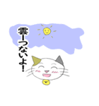 お天気伝える天気猫♪（個別スタンプ：10）