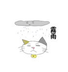 お天気伝える天気猫♪（個別スタンプ：11）