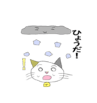 お天気伝える天気猫♪（個別スタンプ：20）