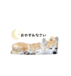 マブダチーズ♡（個別スタンプ：6）