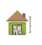 マブダチーズ♡（個別スタンプ：16）
