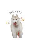 マブダチーズ♡（個別スタンプ：17）